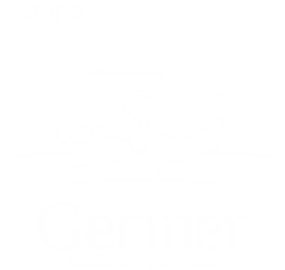 Grupo Germer